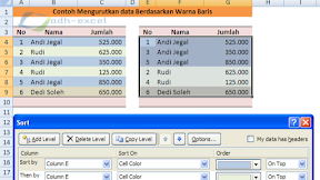 Cara Mengatur dan Mengurutkan Data Berdasarkan Warna Cell Dalam Microsoft Excel