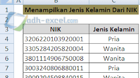 Menentukan Jenis Kelamin Berdasarkan NIK Dengan Rumus Excel