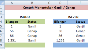 Penentuan Bilangan Ganjil atau Genap Dengan Rumus Dalam Excel