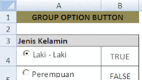 Membuat Group Option Button Tanpa Group Box Dalam Excel
