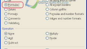 Cara Mudah Copy dan Paste Rumus Excel