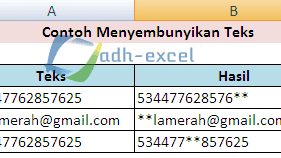 Menyembunyikan Beberapa Huruf Dengan Tanda Bintang Menggunakan Rumus Excel REPT