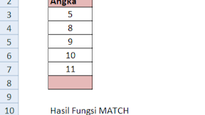 Cara Menggunakan Fungsi MATCH Dalam Microsoft Excel