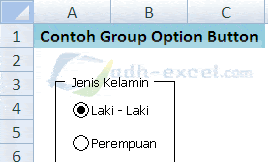 Cara Membuat Group Option Button Dalam Satu Sheet Excel