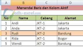 Cara Menandai Baris dan Kolom Aktif Dengan Conditional Formatting