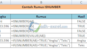 Rumus ISNUMBER Di Excel Untuk Mendeteksi Isi Cell Adalah Angka Atau Bukan