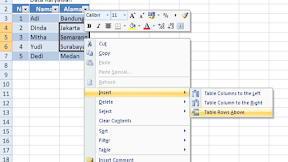 Tabel Excel, Cara Insert Baris dan Kolom Serta Menghapusnya Pada Tabel Excel
