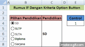 Menggunakan Rumus IF Excel Dengan Kriteria Option Button