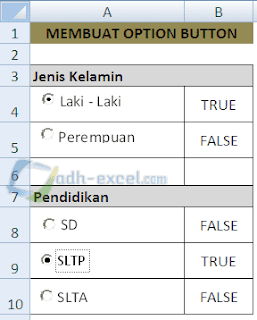 Option Button ActiveX Controls Excel