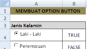 Cara Membuat Option Button ActiveX Dalam Excel